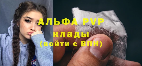 амф Алексин