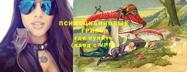 амф Алексин