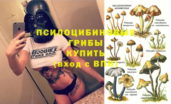 амф Алексин
