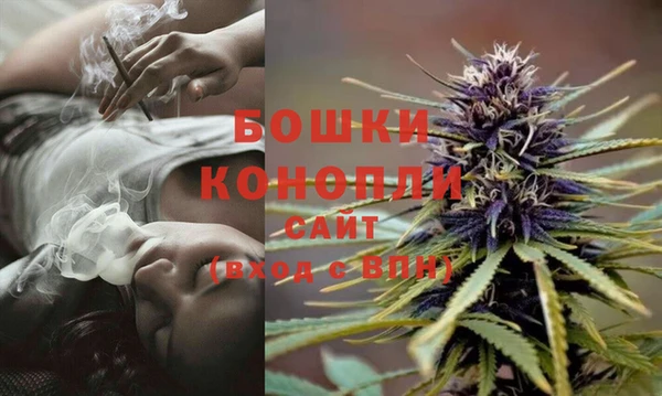 PSILOCYBIN Алзамай