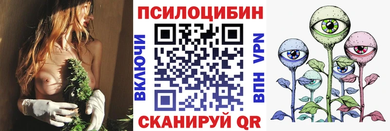 Псилоцибиновые грибы Cubensis  Катав-Ивановск 